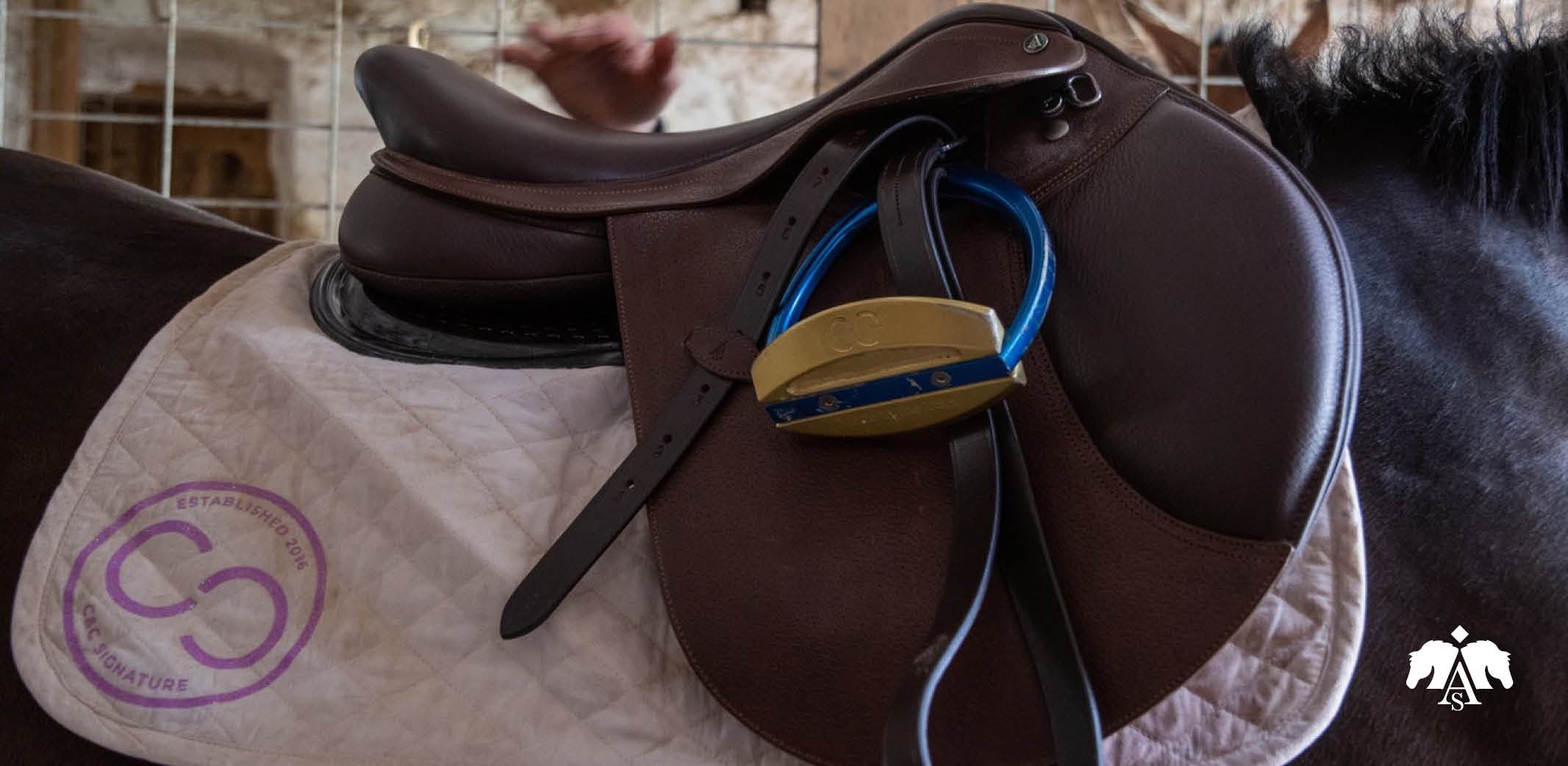 Product review: Arena Saddles and being on a student budget
