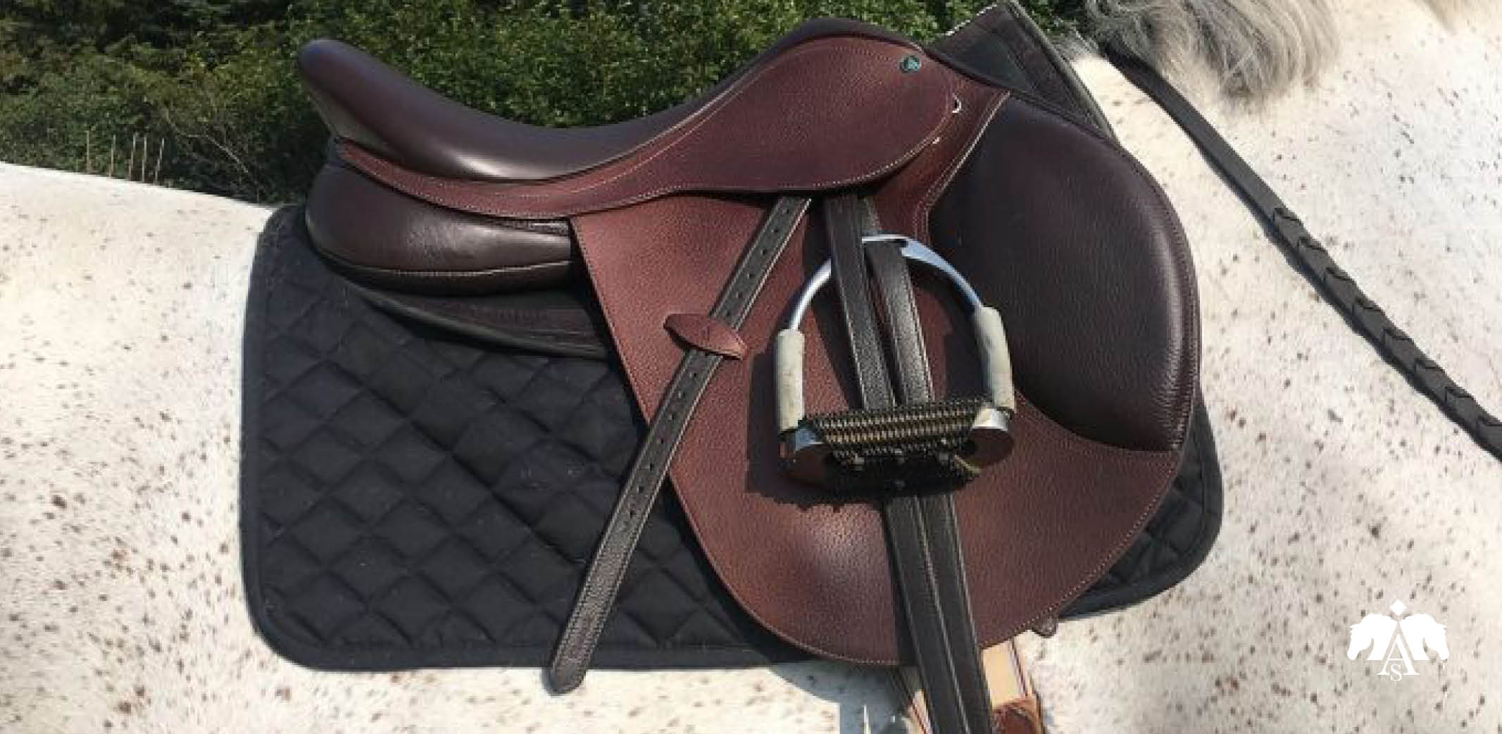Product review: Arena Saddles - Exceptional Quality on an Acceptable Budget