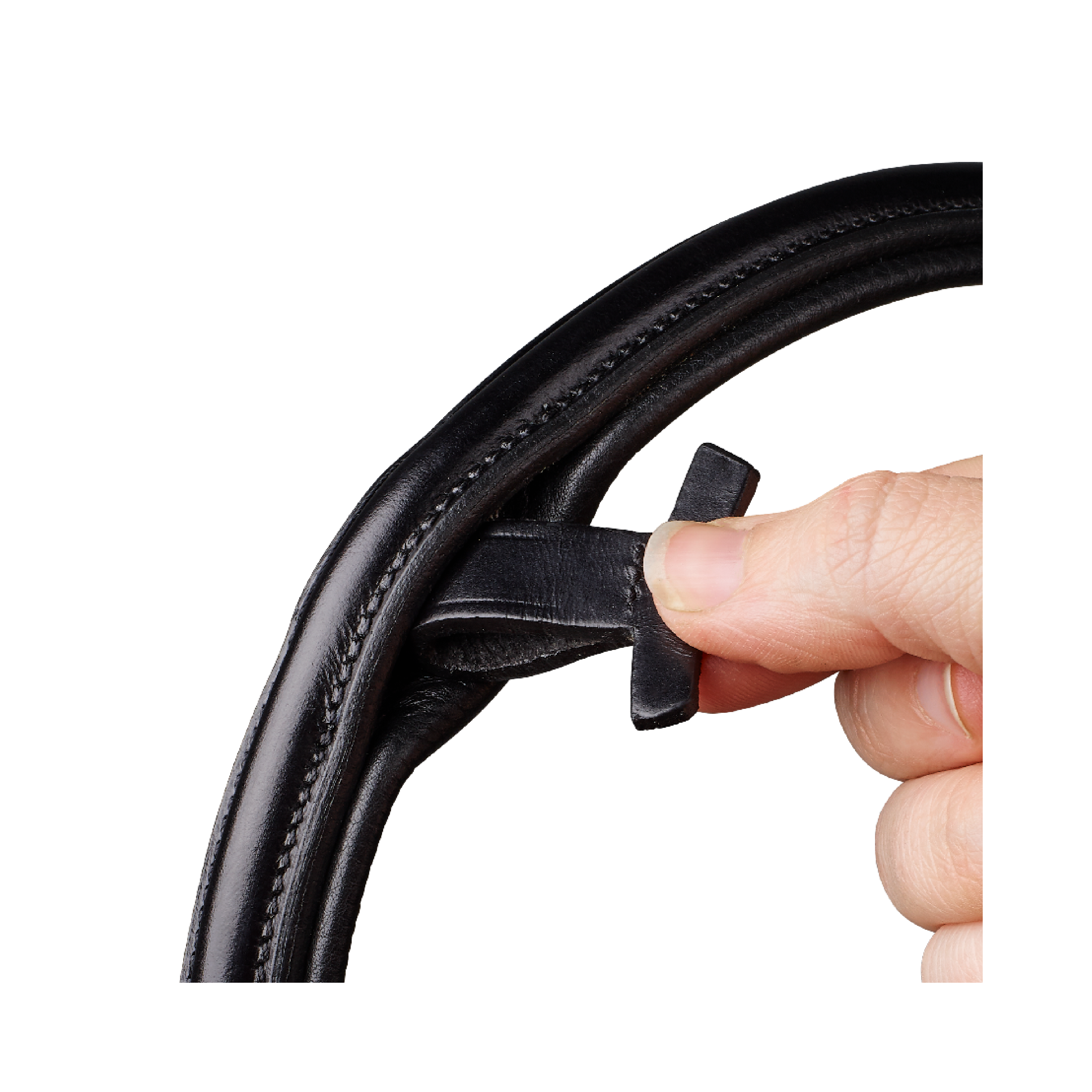 Arena Classic Bridle