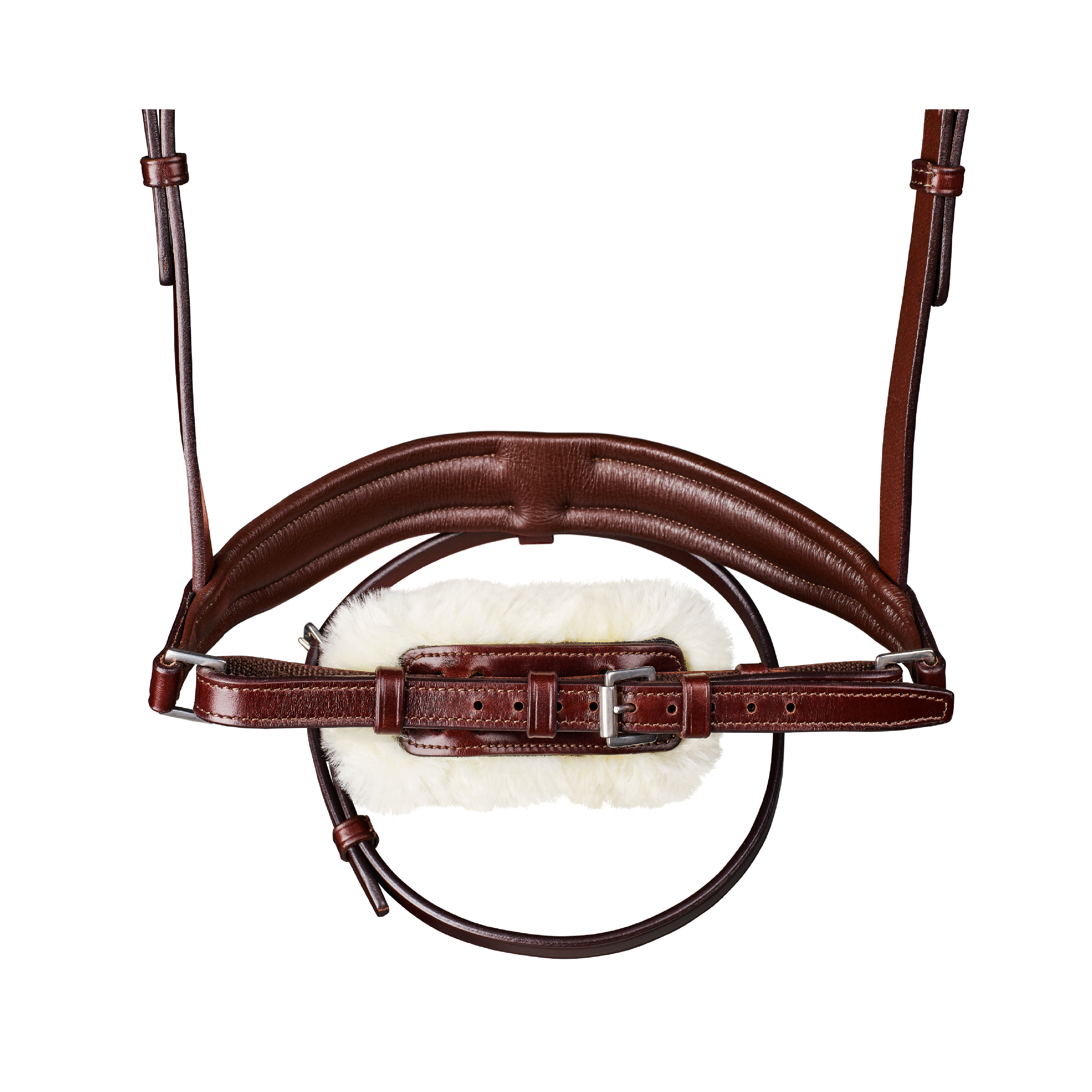 Arena Dressage Bridle